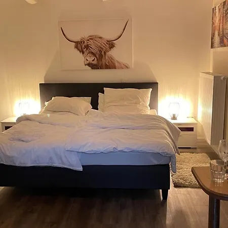 Apartamento Oase Im Grünen Hinterhof, Eg, Ruhe, Terrasse, Carport, Free Paytv, Kaffee&tee, Fahrräder