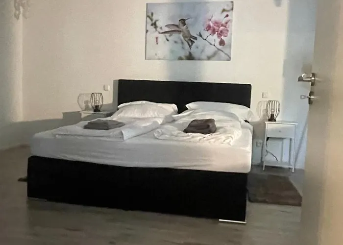 Apartman Oase Im Gruenen Hinterhof, Eg, Ruhe, Terrasse, Carport, Free Paytv, Kaffee&tee, Fahrraeder *