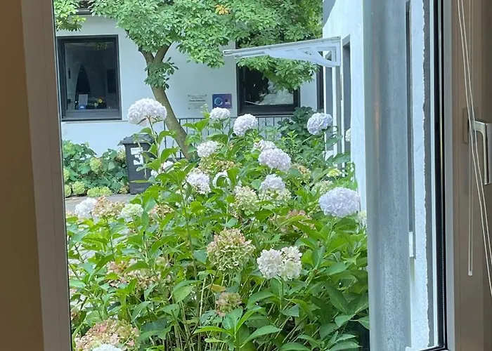 Apartman Oase Im Gruenen Hinterhof, Eg, Ruhe, Terrasse, Carport, Free Paytv, Kaffee&tee, Fahrraeder Duisburg